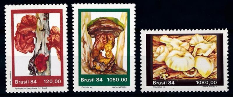 [65739] Brazil 1984 Mushrooms Pilze Champignons  MNH