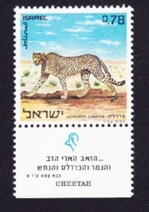 Israel #439 Cheetah MNH Single with tab