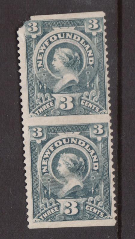 Newfoundland #60e Mint Imperf Pair