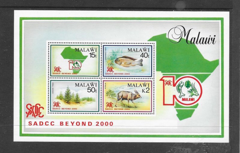 MALAWI - CLEARANCE SALE! #573a WILDLIFE S/S MNH