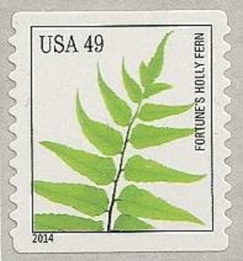 US 4848 Ferns Fortune's Holly Fern 49c coil single MNH 2014