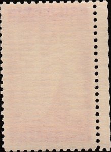 # 895 MINT NEVER HINGED ( MNH ) PAN AMERICAN UNION