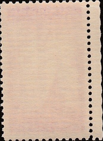 # 895 MINT NEVER HINGED ( MNH ) PAN AMERICAN UNION