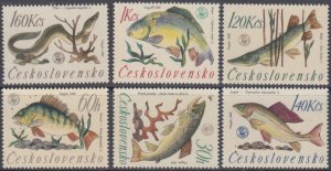CZECHOSLOVAKIA Sc # 1380-5 CPL MNH SET of 6 - VARIOUS FISH