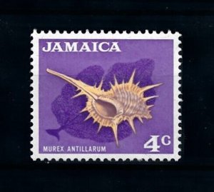 [99641] Jamaica 1970 Marine life sea snail shell From set MNH