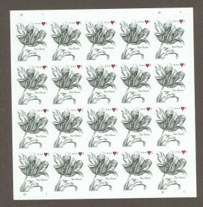 United States #5002 Mint (NH) Single (Complete Set) (Flowers)