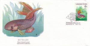 Hungary FDC SC# 3055 Many Colored Lyretail L189