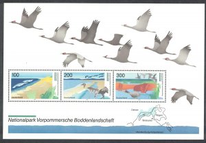 Germany Birds Cranes Geese Western Pomerania National Park MS 1996 MNH