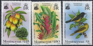 Montserrat 551-53 MNH 1985 Birds (102)(ak6722)