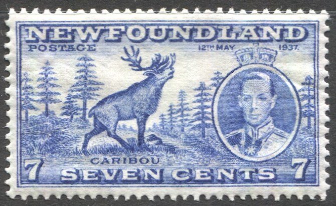 NEWFOUNDLAND Canada Sc 235 MH F-VF, perf 13 1/2, SG 259c