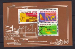Surinam  #509  MNH   1978  sheet  development