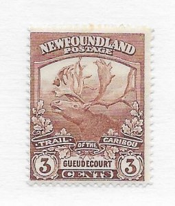 Newfoundland #117 MH - Stamp