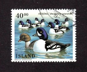 Iceland stamp #815, used, topical, Birds, CV $1.00