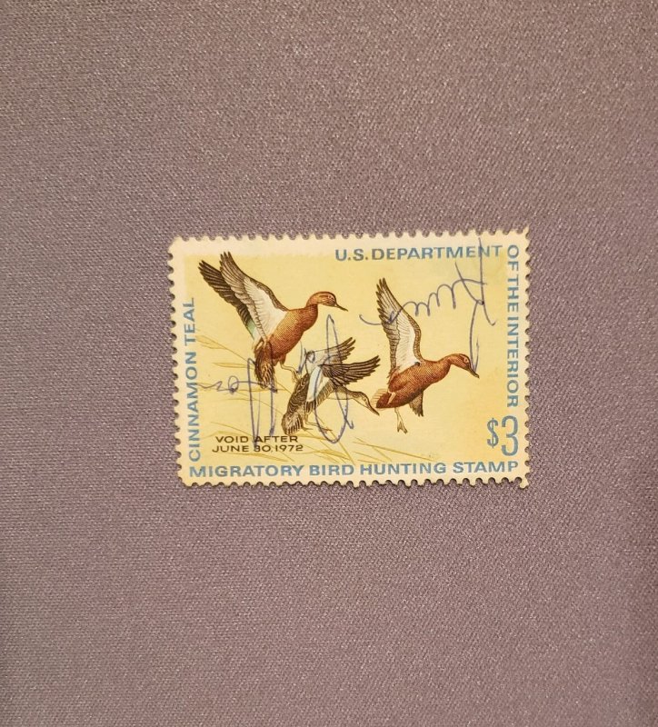 RW38, Cinnamon Teal, Used, CV $17.00