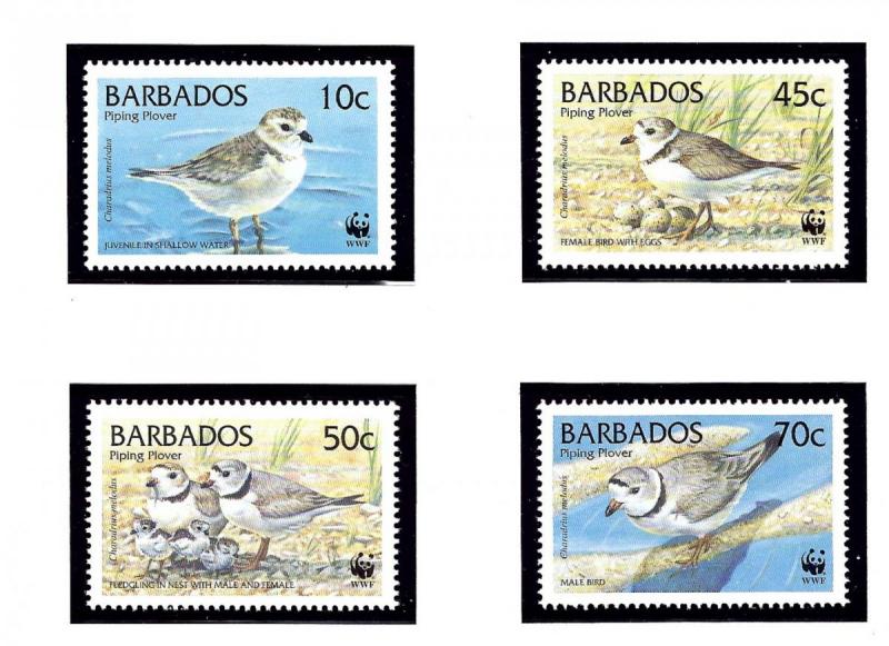 Barbados 963-66 MNH 1999 Birds