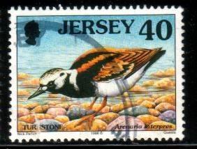 Bird, Ruddy Turnstone, Jersey stamp SC#830 used