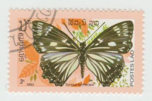 388  butterfly