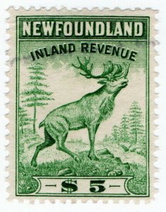 (I.B) Canada Revenue : Newfoundland Inland Revenue $5