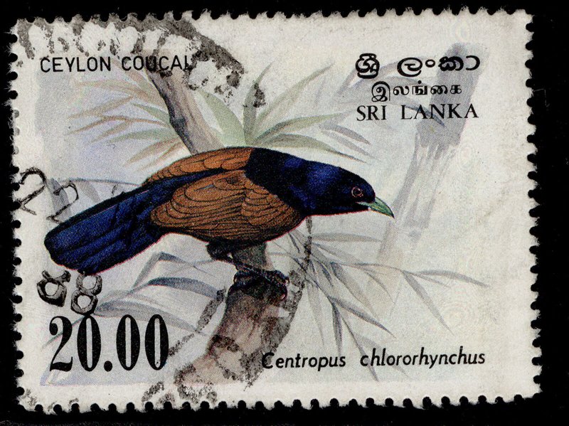 SRI LANKA QEII SG830, 20r ceylon coucal 1983, FINE USED.