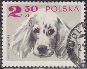 Poland 1640 English Setter 2.50zł 1969