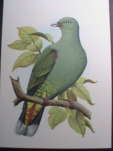 ST. THOMAS 1979 PREPAID COLORFUL LOVELY BIRDS-NATIONAL ARMS POST CARD-MNH VF