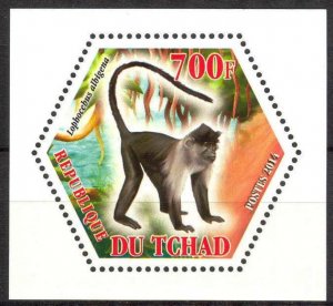 Chad 2014 Monkeys (1) MNH Cinderella !