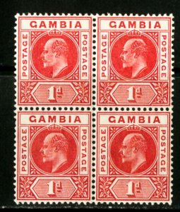 Gambia Stamps # 29 NH LH 3 Copies Scott Value $88.00