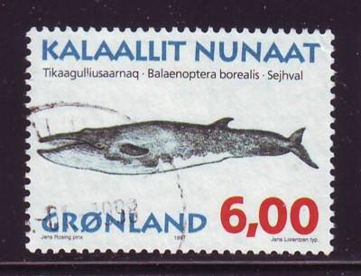 Greenland Sc 321 1997  6 kr whale stamp used