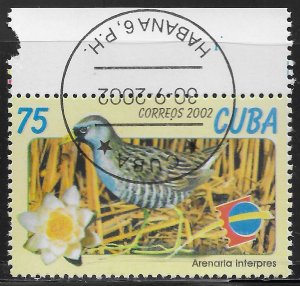 Cuba #4239 75c Birds - Arenaria Interpres ~ CTO