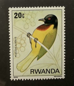 Rwanda 1980 Scott 943 MNH - 20c, bird of the Nyungwe forest