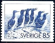 Razor-billed Auks & Black Guillemot, Sweden SC#1153 mint