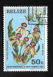 Belize 1981 - CTO - Scott #596