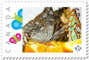 BUTTERFLY on Orange Fruit, Custom Postage stamp MNH Canada 2018 [p18-04sn07]