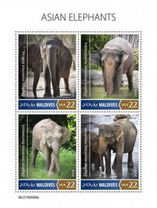 Maldives 2019 MNH Wild Animals Stamps Elephants Asian Elephant 4v M/S