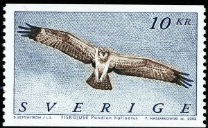 Sweden 2002 Bird Osprey. Engraver Naszarkowski. MNH