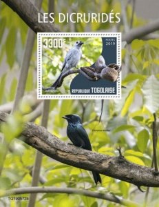 Togo - 2019 Drongos on Stamps - Stamp Souvenir Sheet - TG190572b