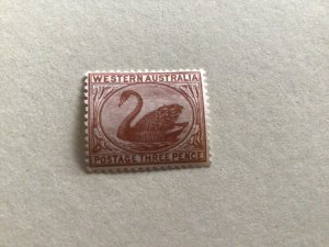 Western Australia Swan 1905 mounted mint  stamp A11648