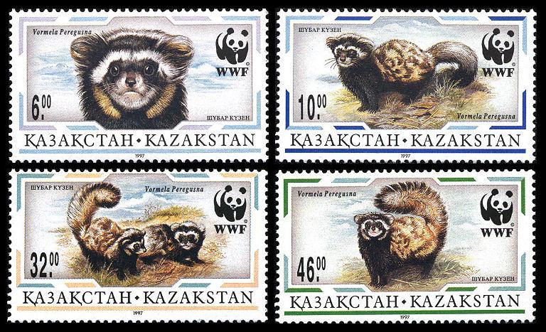 Kazakhstan WWF Marbled Polecat 4v SG#148-151 MI#154-157 SC#171-174