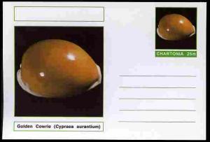 Chartonia (Fantasy) Shells - Golden Cowrie (Cypraea auran...