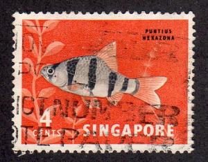 Singapore 54 - Used - Tiger Barb ($0.60)  (1)
