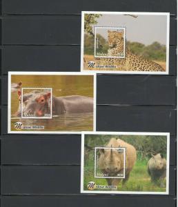 MALAWI: ++NEW ISSUE++ /**Beautiful WILDLIFE**/ Sheet of 6 & 6 SS / MNH3 Images.