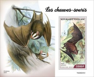 Togo - 2022 Bats, Gray Bat - Stamp Souvenir Sheet - TG220221b1