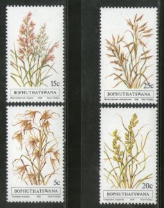 Bophuthatswana 1981 Grasses Flower Trees Plants Flora Sc 80-83 MNH # 3252