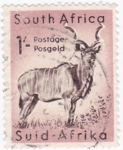 South Africa - 1954 Wild Animals Kudu 1/- used SG 159