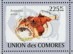 Fish Stamp Latimeria Chalumnae Scorpaena Scrofa Lophius Americanus S/S MNH #2107 