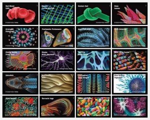 #5802 2023 Life Magnified Singles set/20 - MNH