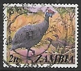 Zambia # 136 - Helmeted Guineafowl - used.....{BE13}