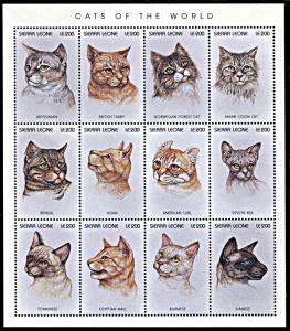 Sierra Leone 1892, MNH, Cat Breeds miniature sheet