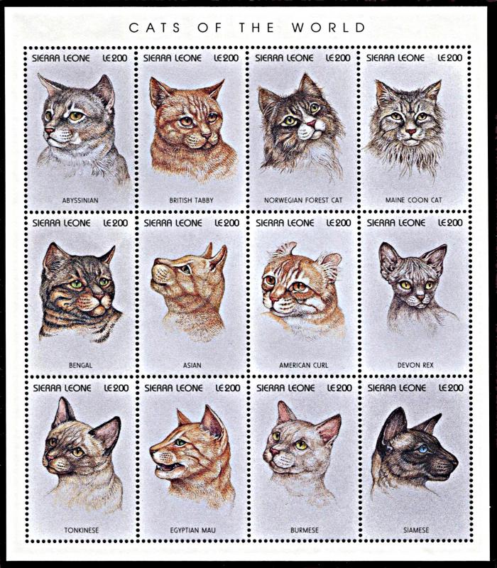 Sierra Leone 1892, MNH, Cat Breeds miniature sheet