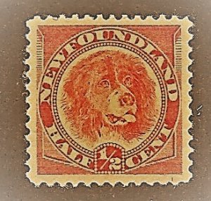 Newfoundland 57 Mint Hinged